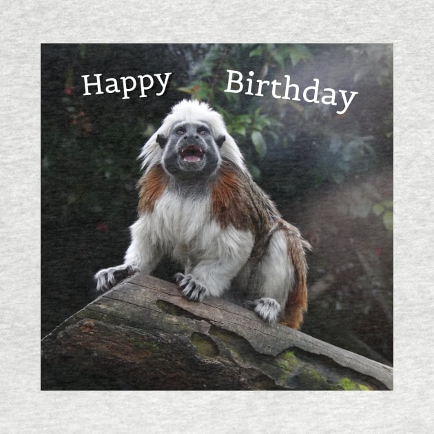 Birthday Monkey by Amanda1775